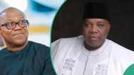Breaking: Peter Obi's ally, Doyin Okupe, resigns from Labour Party, gives reason