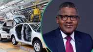 Dangote goes fully into vehicle manufacturing, begins production of Peugeot SUVs