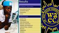 WAEC 2024 result of boy who got 259 in JAMB stuns Nigerians, photo trends online