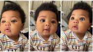 "He is adorable": Handsome baby with chubby cheeks smiles sweetly, his video melts hearts on TikTok