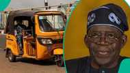 ‘Yan Keke Napep sun rungumi tafiyar TinubuMustGo domin hana APC zarcewa a 2027