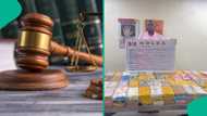 Court takes action as NDLEA fails to charge KC Luxury after 14 days in custody