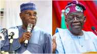Tinubu in trouble as powerful PDP chieftain reveals Jagaban’s deep dark secret, why he is snubbing debates
