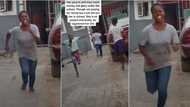 House help goes crazy as her Nigerian madam registers her in school for the first time, video melts hearts