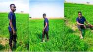 Fresh graduate who acquired farmland and started rice farming with NYSC allawee inspires many with his success