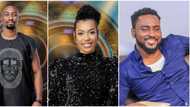 I woke up one morning and she was gone: Saga says Nini's absence reminded him of his mum's death