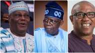 Corruption: Atiku clean unlike Tinubu, Peter Obi, Reno Omokri