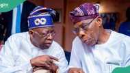 “Baba don chop corn”: Nigerians react as Obasanjo rocks Tinubu's signature cap, video trends