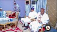 BREAKING: Buhari visits Katsina's richest man Dahiru Mangal, photo, details emerge