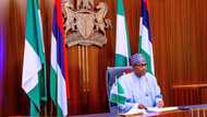 Presidency reveals why Buhari has not solved security problems