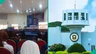University of Ibadan student finally gains admission after SSCE in 2016, celebrates matriculation