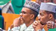 2025 budget: El-Rufai's son raises motion against MDAs buying vehicles, spoons yearly, gives reasons