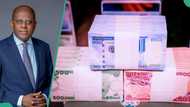 CBN issues new warning on use of naira, commits to availability of new notes