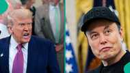 Trump speaks on deporting Elon Musk to South Africa as feud worsens