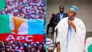 Abdullahi Ganduje: Alleged reason APC chairman resigned suddenly is finally out