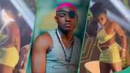 "What is this?" Fans react to viral clip of lady grinding Ruger on stage with her privates exposed