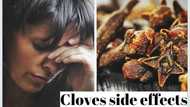 Side effects of cloves consumption everybody should know about