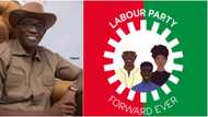 Julius Abure: Court insists on suspension of Labour Party chairman, 3 others