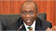 Godwin Emefiele explains why CBN will stop providing dollars, euros to bureau de change operators