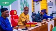 2027: Oyo Gov Makinde taunts those lobbying to succeed him, “I'll have a say”