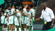 NFF chief Augustine Eguavoen slams Super Eagles stars after boycotting training