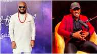 "Use your wife to shine as usual": Nigerians react as Yul Edochie goes on Nedu's podcast