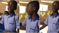 "Which school is this?" Student in uniform reports his classmate to teacher in Queen's English, video trends
