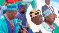 Bayan kusoshin APC sun kaurace wa taron jam'iyya, Tinubu ya dora wa Ganduje aiki