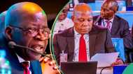 Vice-President Shettima admits Tinubu's policies cause of Nigerians hardships