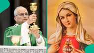 Pope Leo issues new decree on how Catholics should refer to Mary, the mother of Jesus