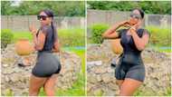 Beautiful curvy lady goes in desperate search for boyfriend, begs men to shoot their shot (photos)