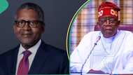 “You are doing well”: Tinubu visits Dangote’s compartment, hails billionaire for achievements