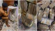 "You can buy Benz": Nigerian man breaks his piggy bank, counts N5.5 million he saved, video causes frenzy
