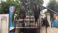 Police makes swift move against thugs who set Barau's Kano campaign office on fire