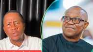 "Tinubu, I'm sorry": Ardent Peter Obi supporter ditches LP, declares support for APC