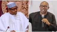 Nigeria has never had it this bad with insecurity - Peter Obi