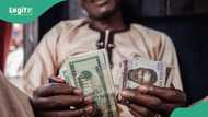 “We see the possibility”: Lagos Chamber of Commerce predicts new dollar exchange rate, gives reason