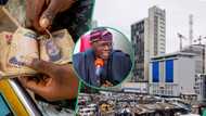 “Apply with the link”: Lagos State begins loan program for business owners
