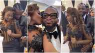 Diamond Platnumz and Junior colleague Zuchu dazzle in matching outfits as they dance suggestively at wedding