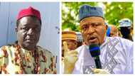 Igbo presidency: Your outburst is childish, Ohanaeze slams Buhari's ex-aide