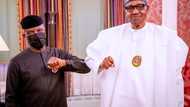 True leadership! Buhari, Osinbajo, SGF, others to take COVID-19 vaccines on live TV