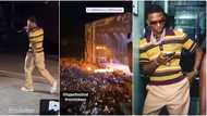 "Wizkid dey gym for back": Reactions as singer looks different during his performance to big crowd in Germany