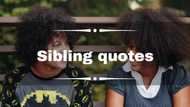 50+ great sibling quotes to share with your brothers and sisters