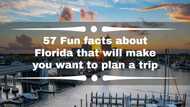 57 fun facts about Florida that will make you want to plan a trip