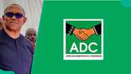 2027 election: What will happen to Peter Obi if he returns to PDP? ADC breaks silence