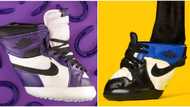 Sneakers for horses selling for N2.1m go viral, Yeezy and Nike involved