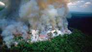 Heartbreaking forest fires in Amazonia: a huge loss for humanity