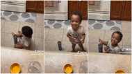 "He's living his best life": Dad catches kid secretly eating Pringles in kitchen, talks to get his attention