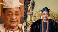 Alaafin of Oyo's children and wives: Interesting facts and pictures