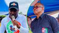 “I'm not campaigning under Peter Obi", Bayelsa LP governorship candidate speaks